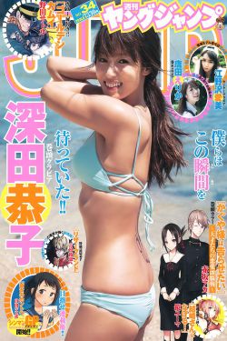 锋刃电视剧免费观看完整版